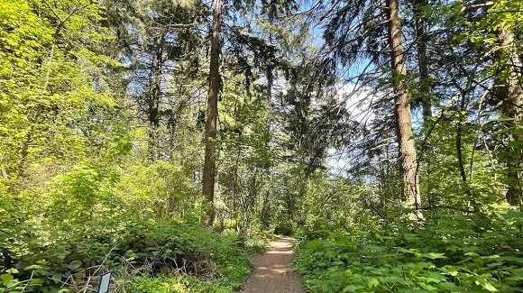 HylandForestPark 640w