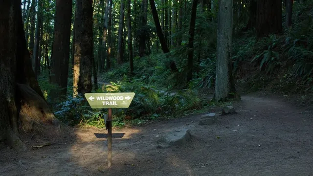 WildwoodTrail 640w
